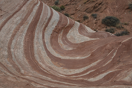 Stacks Image 9055