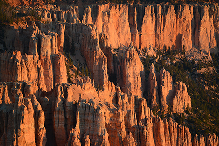 Stacks Image 9117