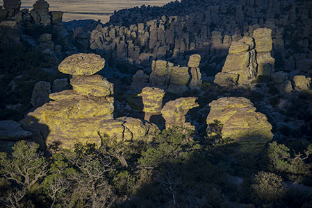 Stacks Image 8197