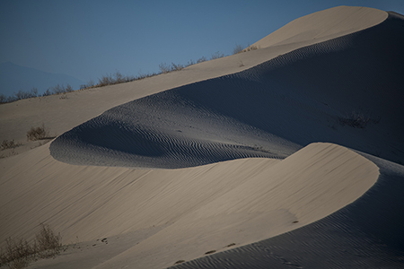 Stacks Image 8440