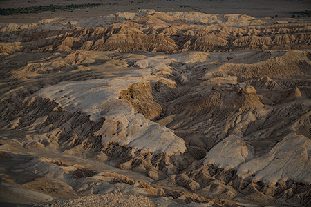 Stacks Image 6599