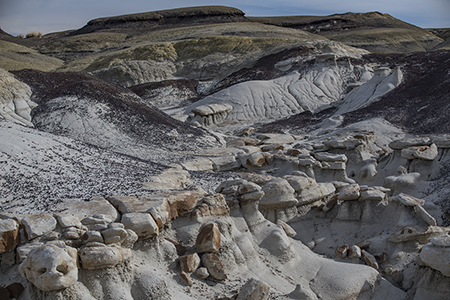 Stacks Image 6821