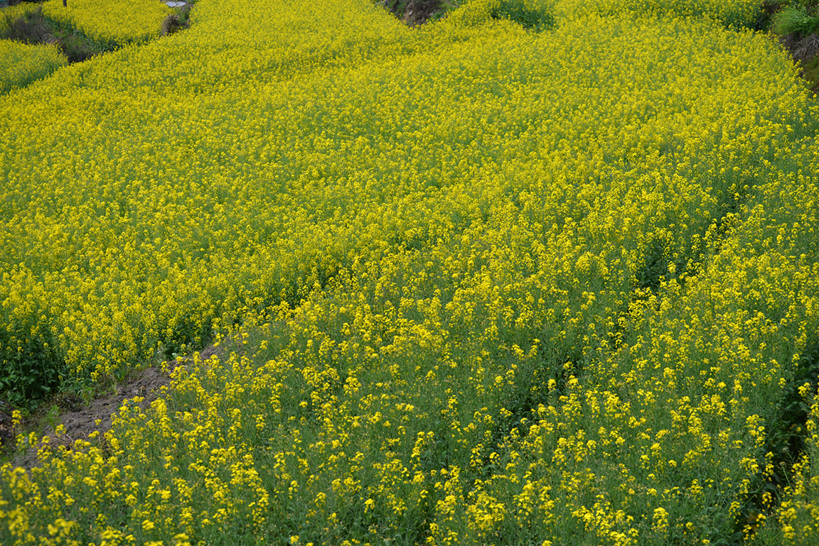 Stacks Image 785