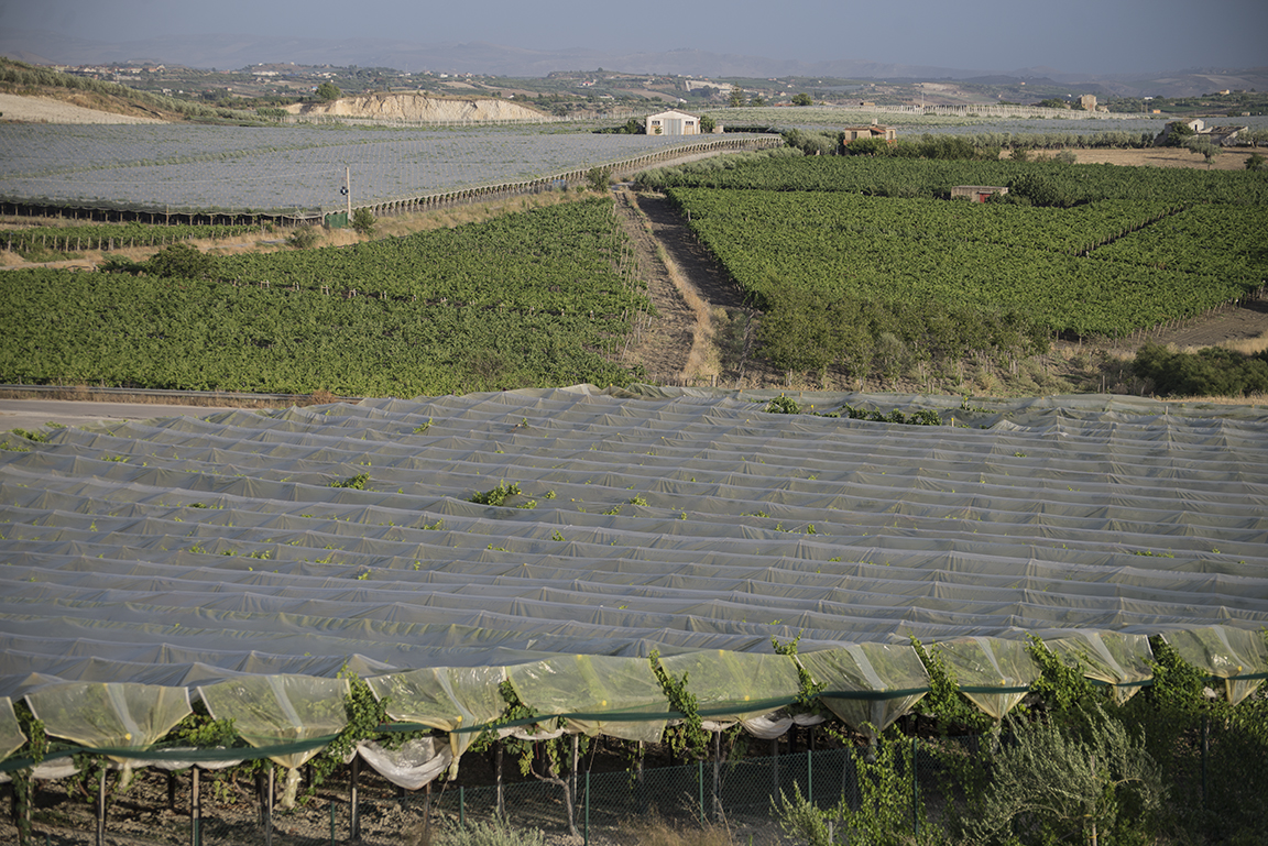 Countryside near Agrigento