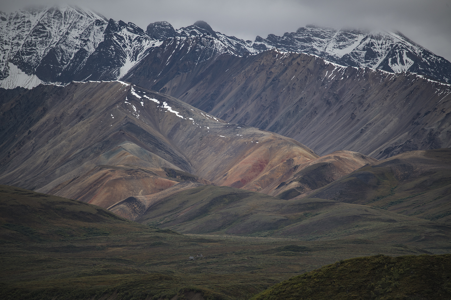 Polychrome MWDSC_6595