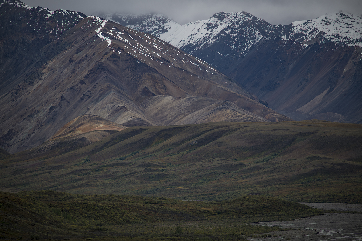 Polychrome MWDSC_6598