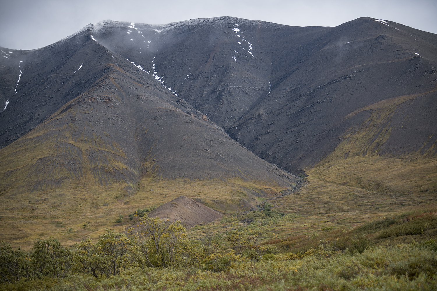 Polychrome MWDSC_6646