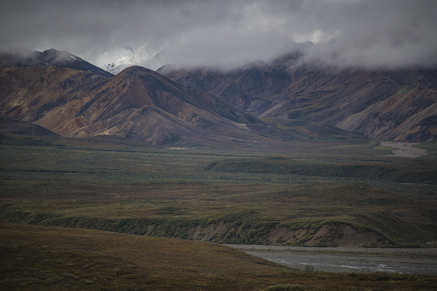 Polychrome MWDSC_6688
