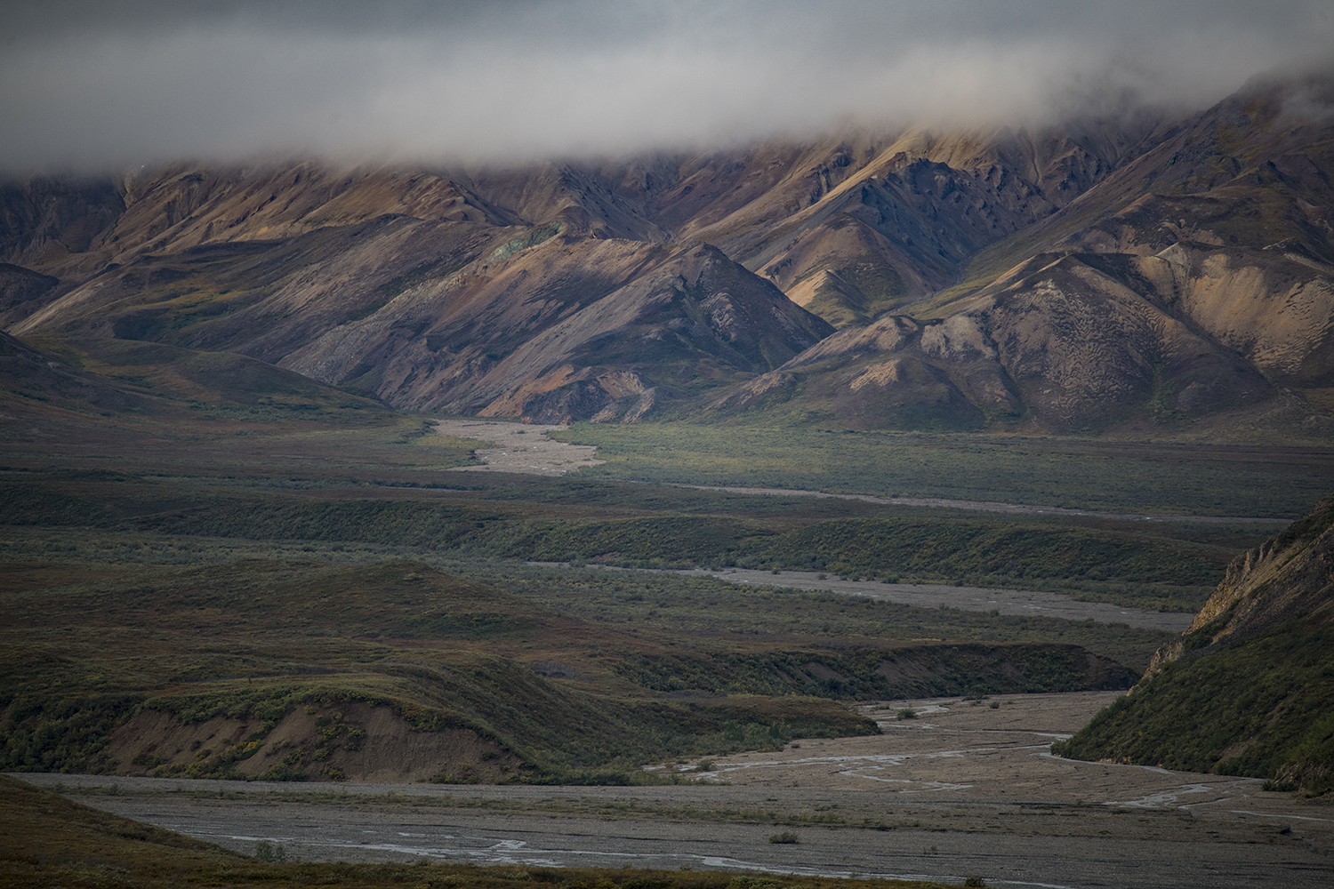 Polychrome MWDSC_6739