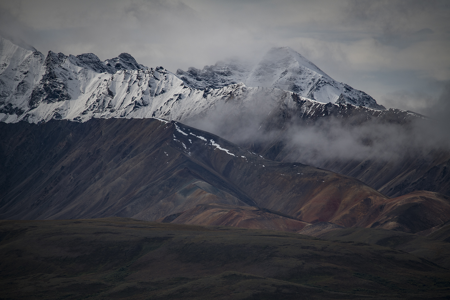 Polychrome MWDSC_6744