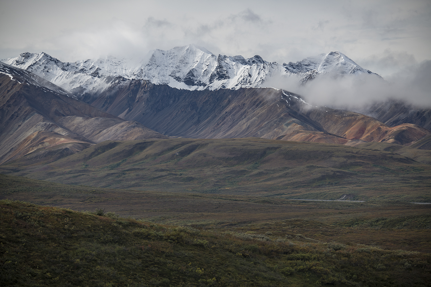 Polychrome MWDSC_6766