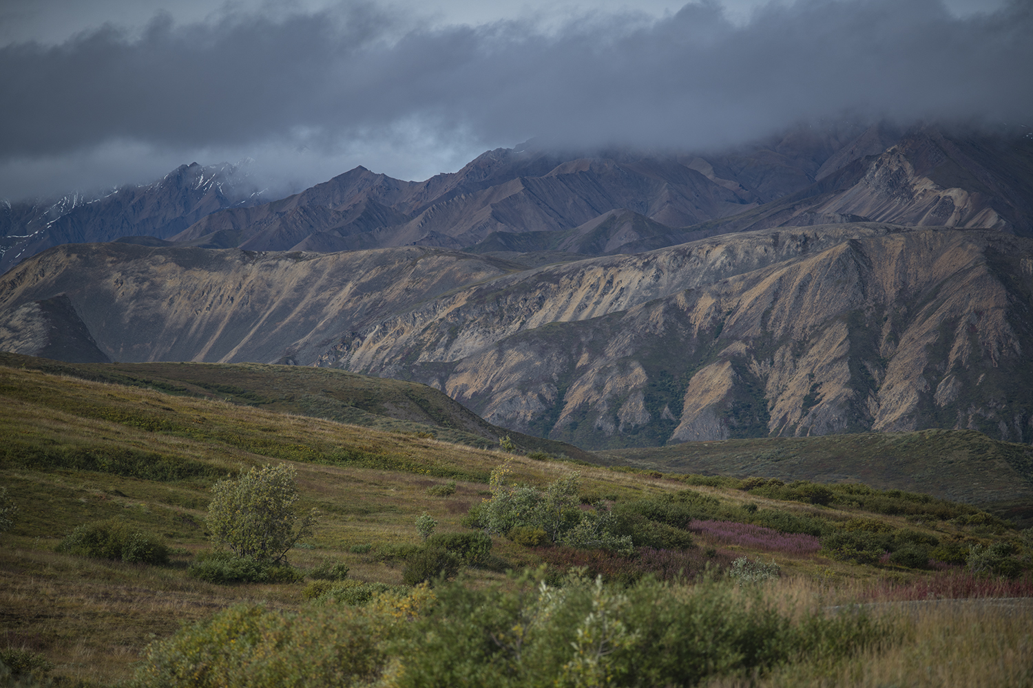 Sable Pass MWDSC_6843