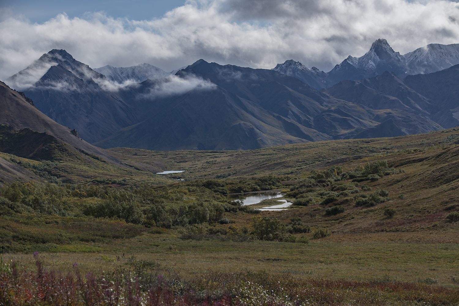 Sable Pass MWDSC_6855