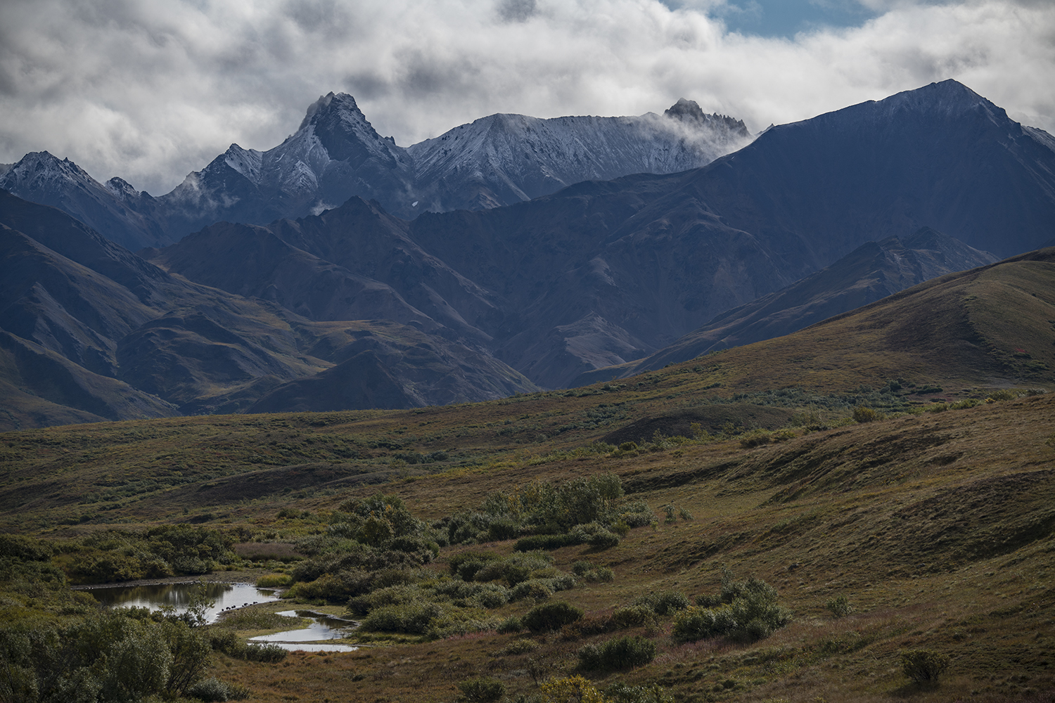 Sable Pass MWDSC_6887