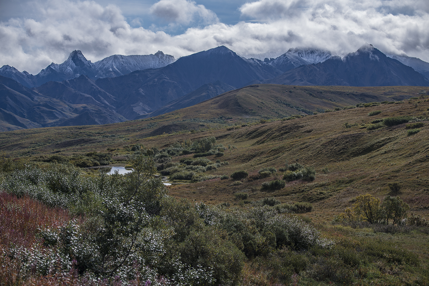 Sable Pass MWDSC_6891