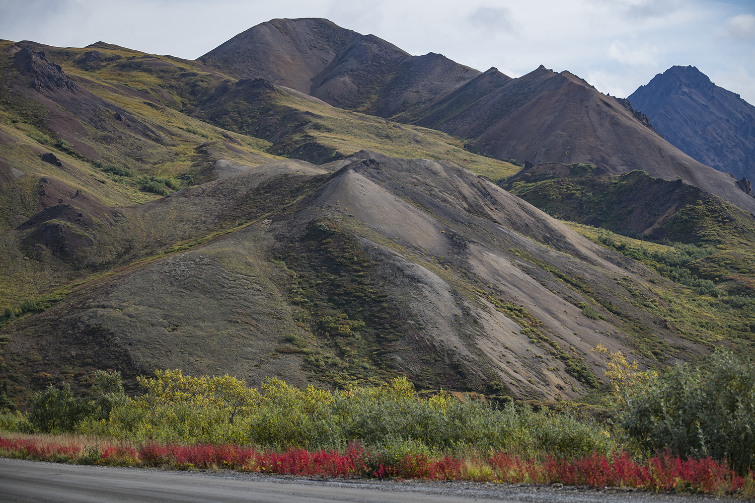 Sable Pass MWDSC_6916