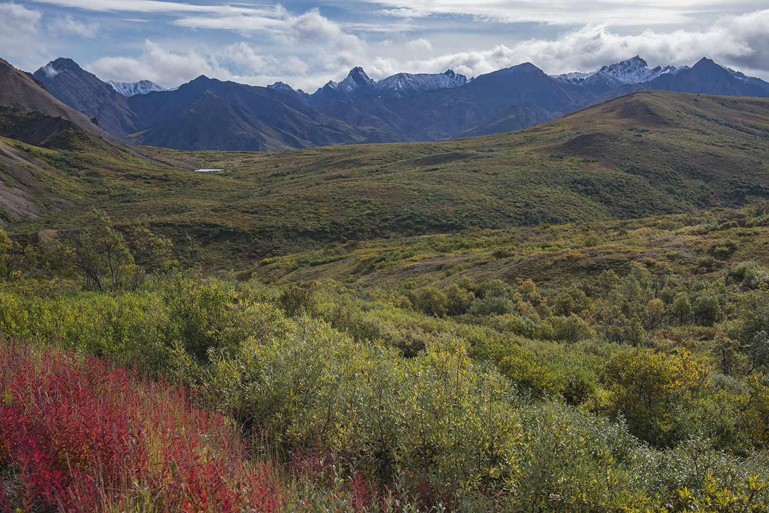 Sable Pass MWDSC_6922