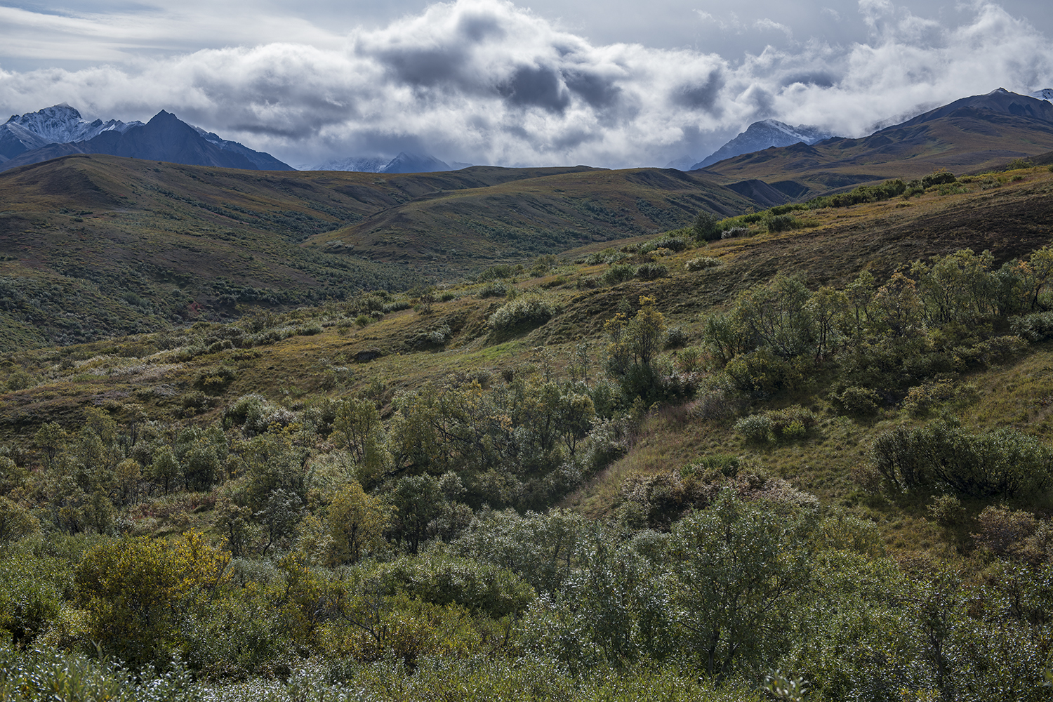 Sable Pass MWDSC_6926