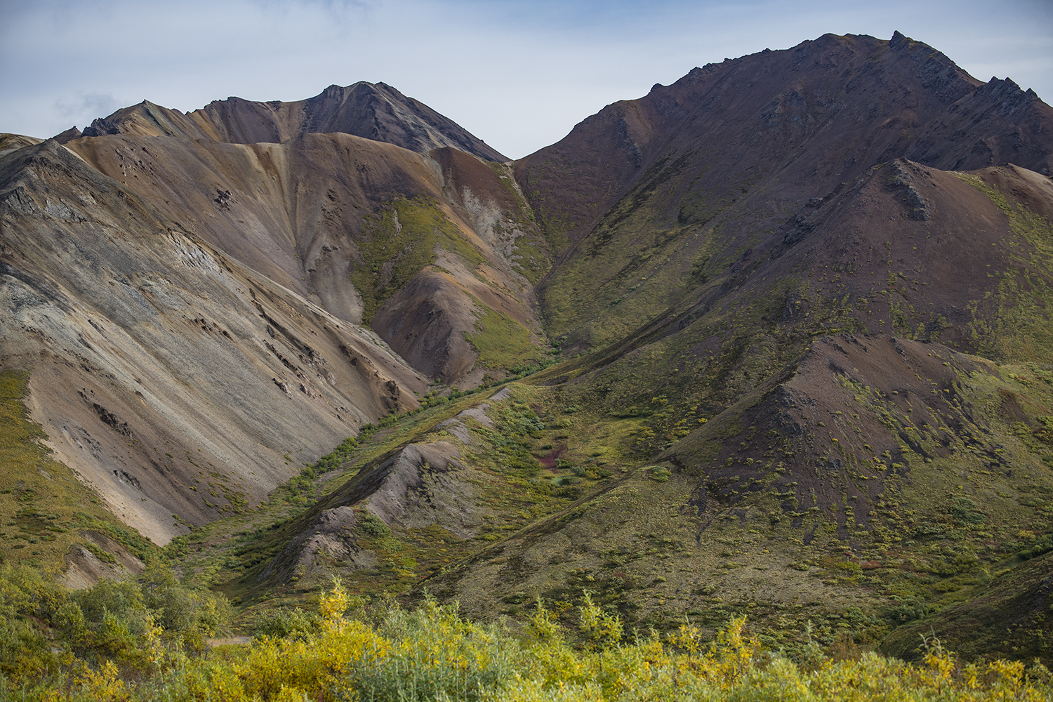 Sable Pass MWDSC_6954