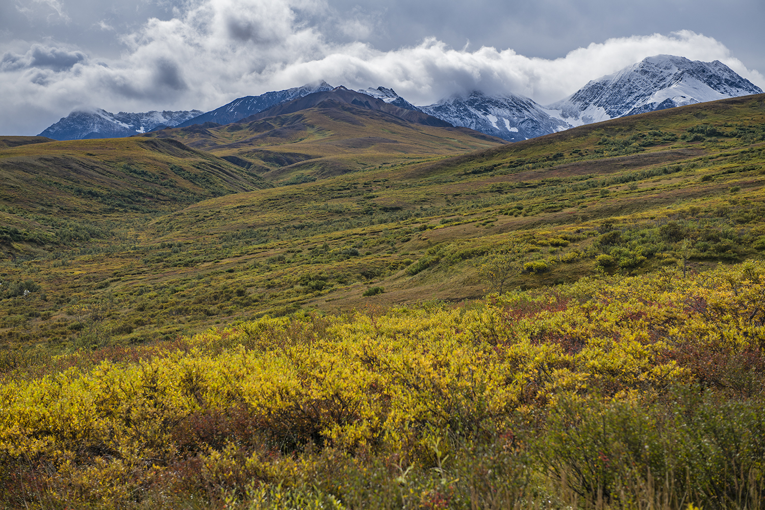 Sable Pass MWDSC_7017
