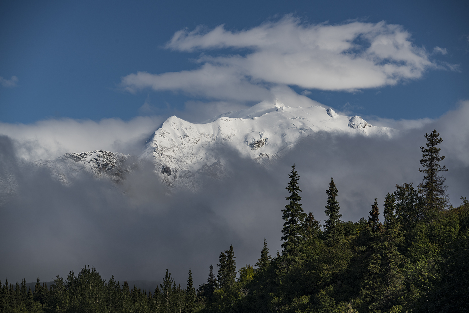 MWDSC_7373