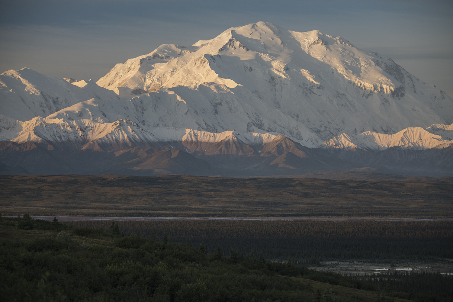Denali Park Road MWDSC_5452