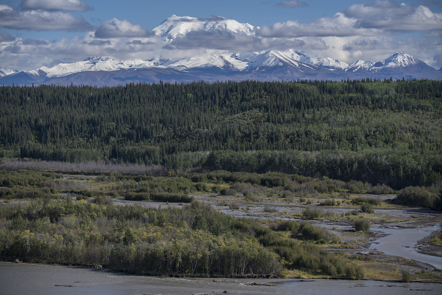 Highway 1 MWDSC_8009