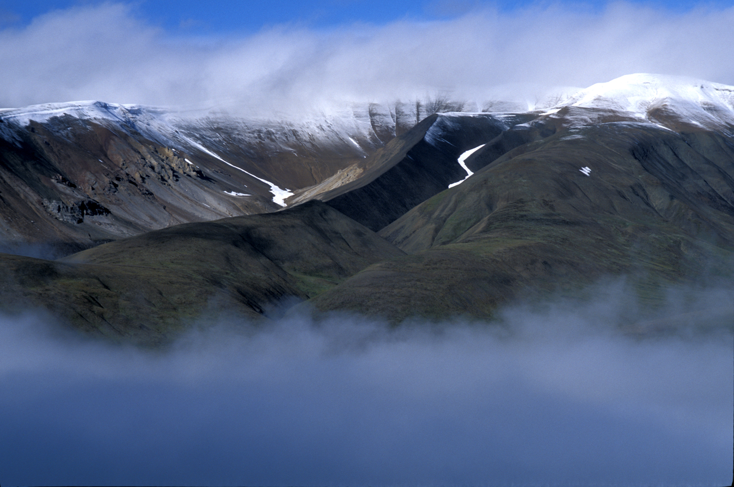 Wrangell 11
