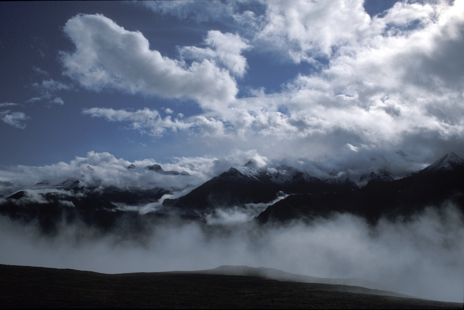 Wrangell 12