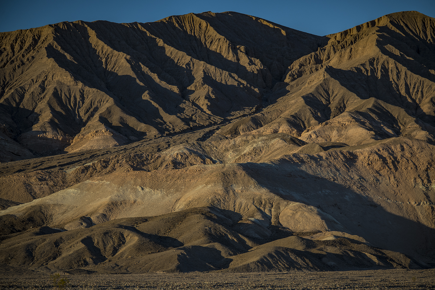 MWDSC_0637