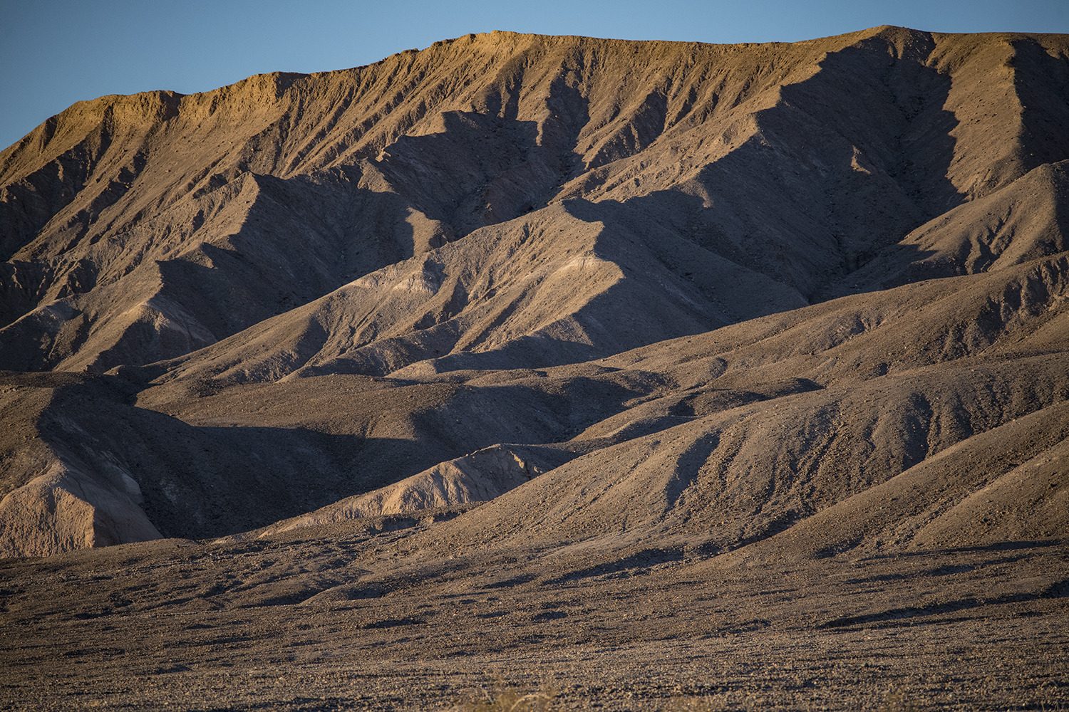 MWDSC_0653
