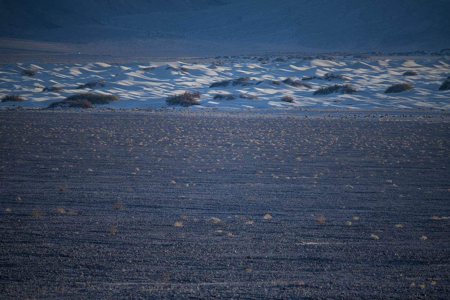 MWDSC_0661