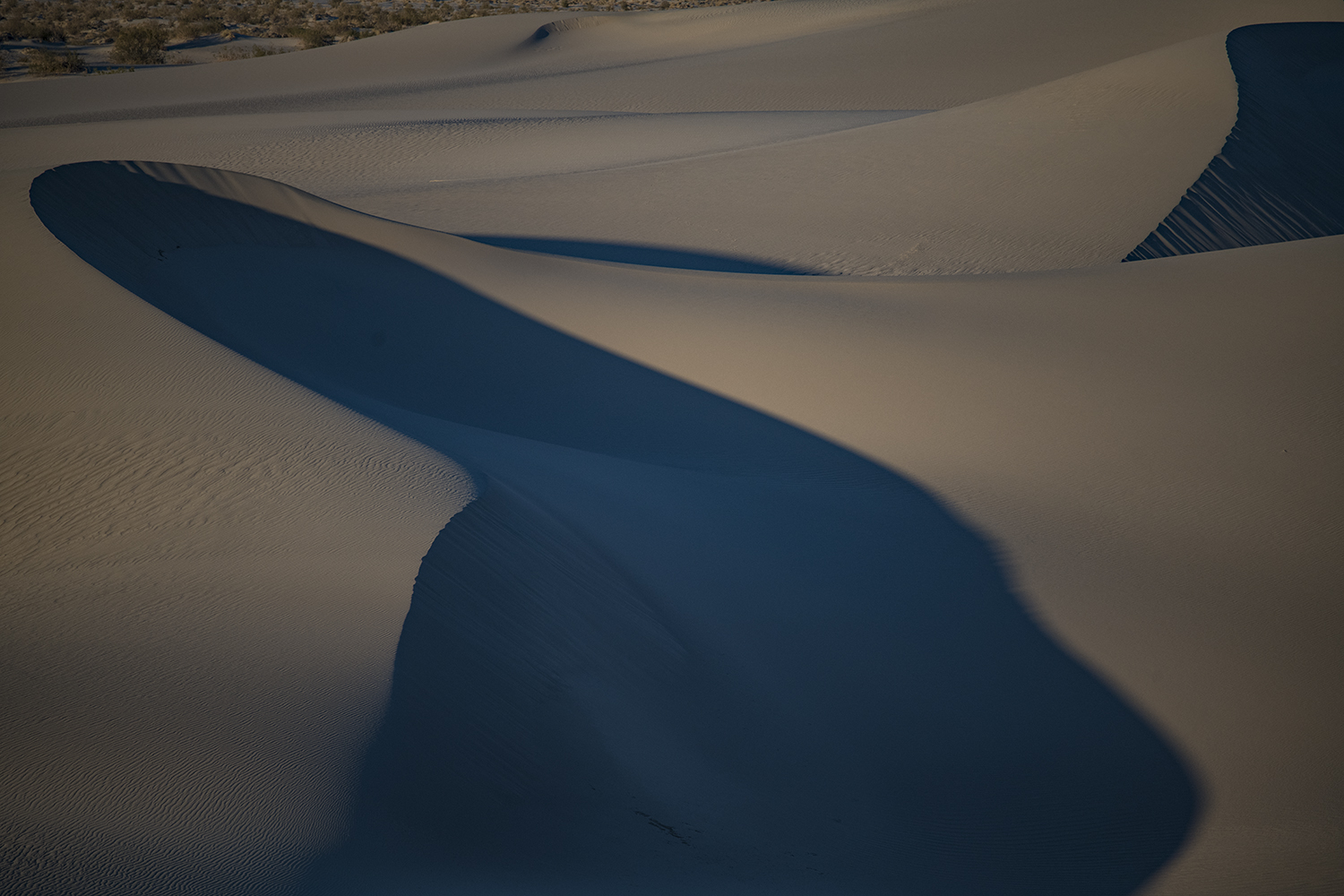 MWDSC_0012