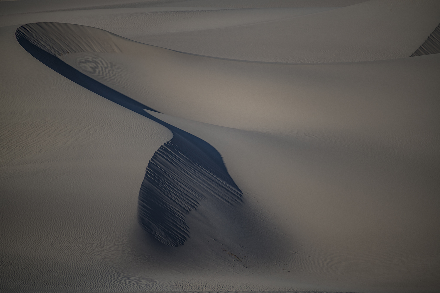 MWDSC_9760