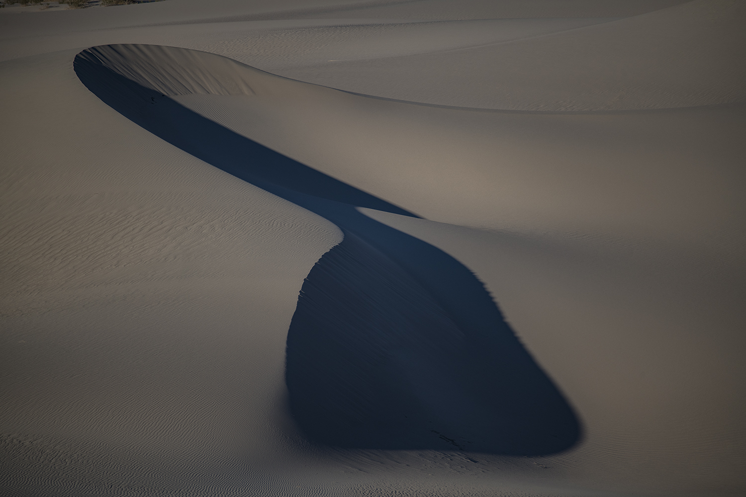 MWDSC_9838