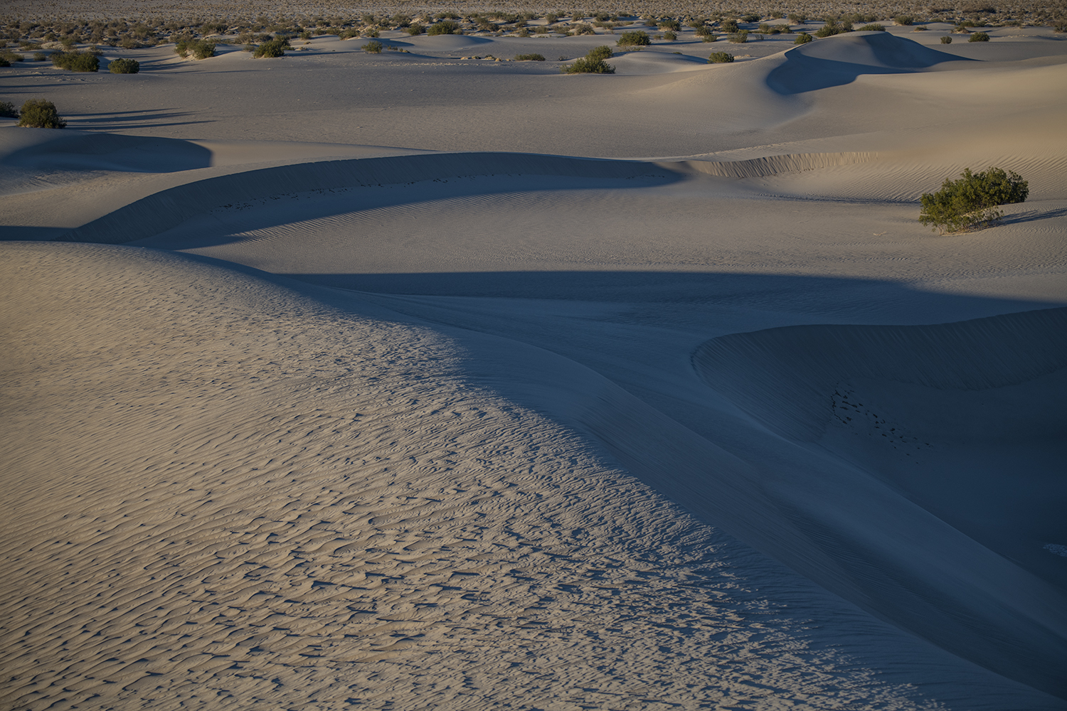 MWDSC_9977