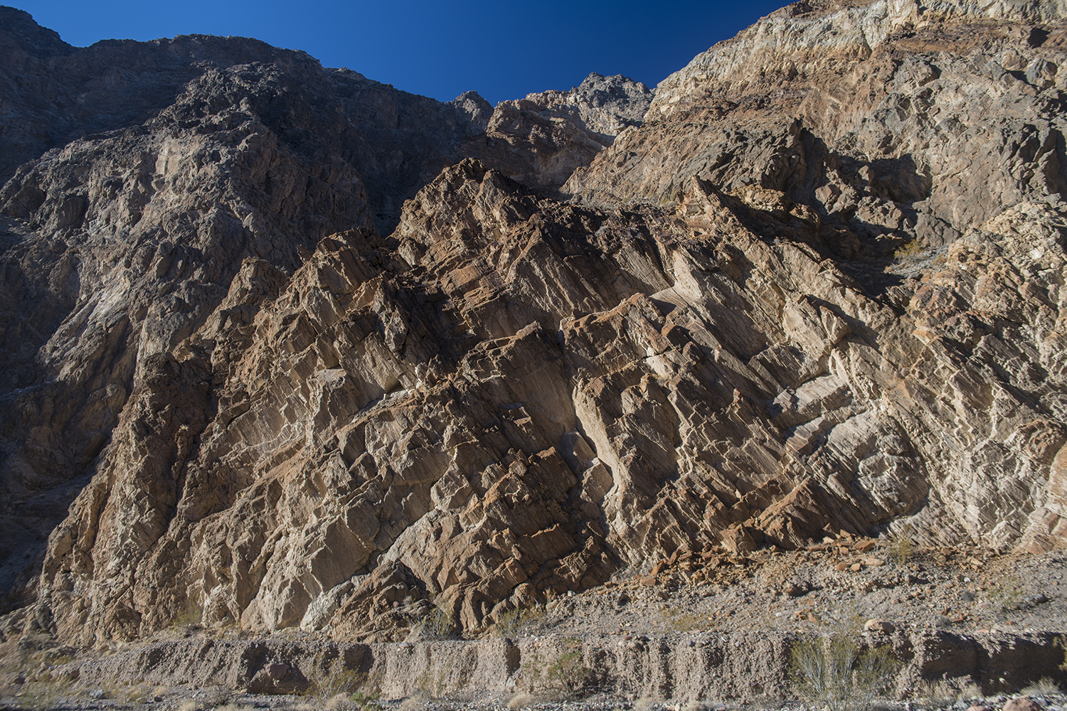 MWDSC_0554