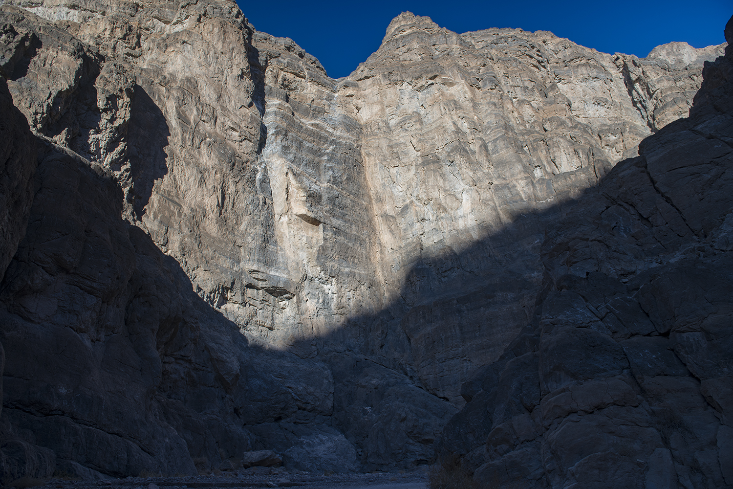 MWDSC_0577