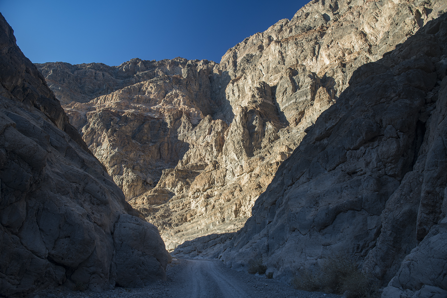MWDSC_0586