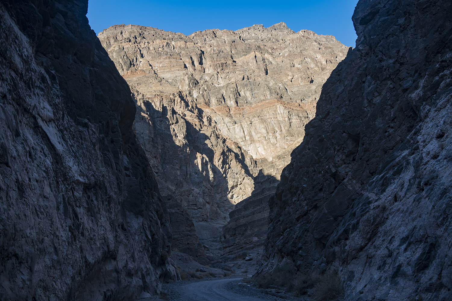 MWDSC_0592