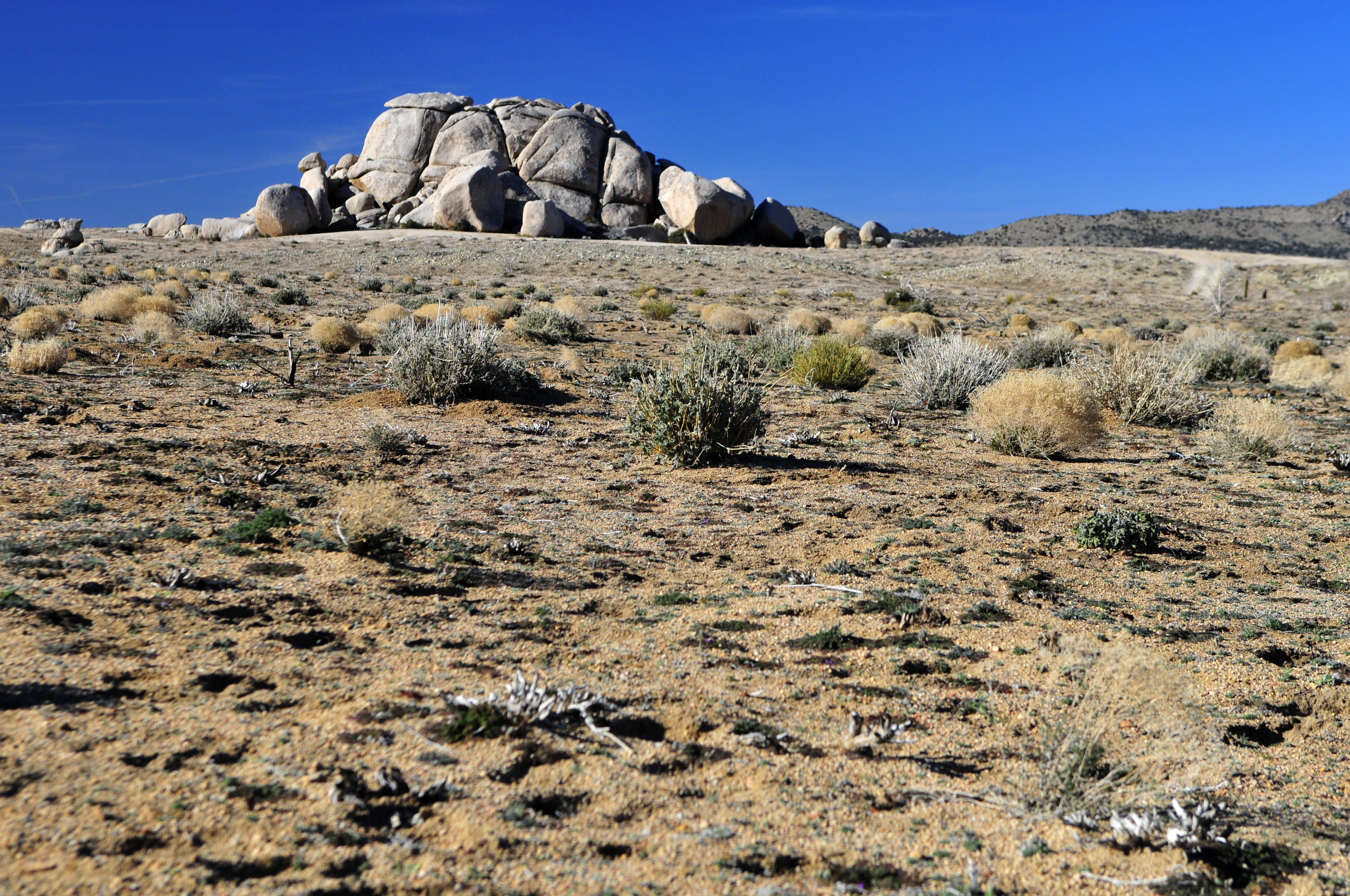 Mojave021708n3e