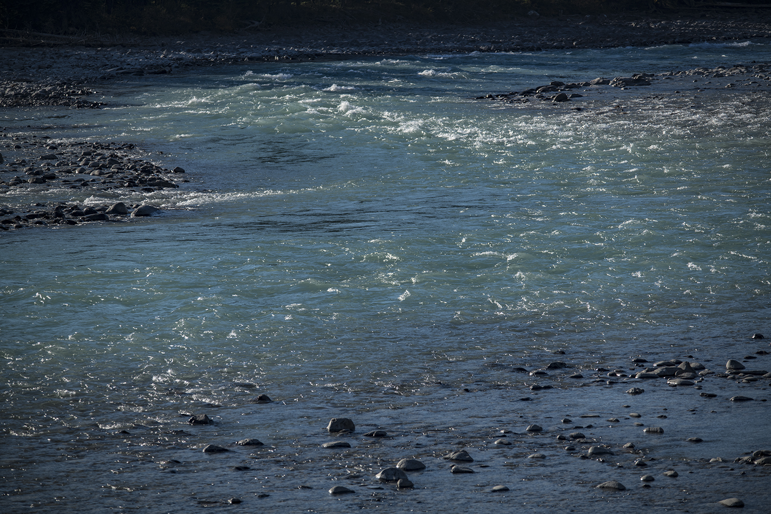 MWDSC_9164