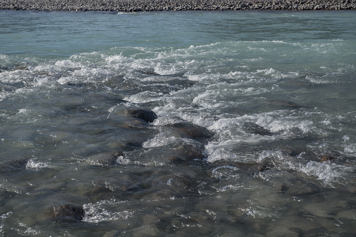 MWDSC_9286