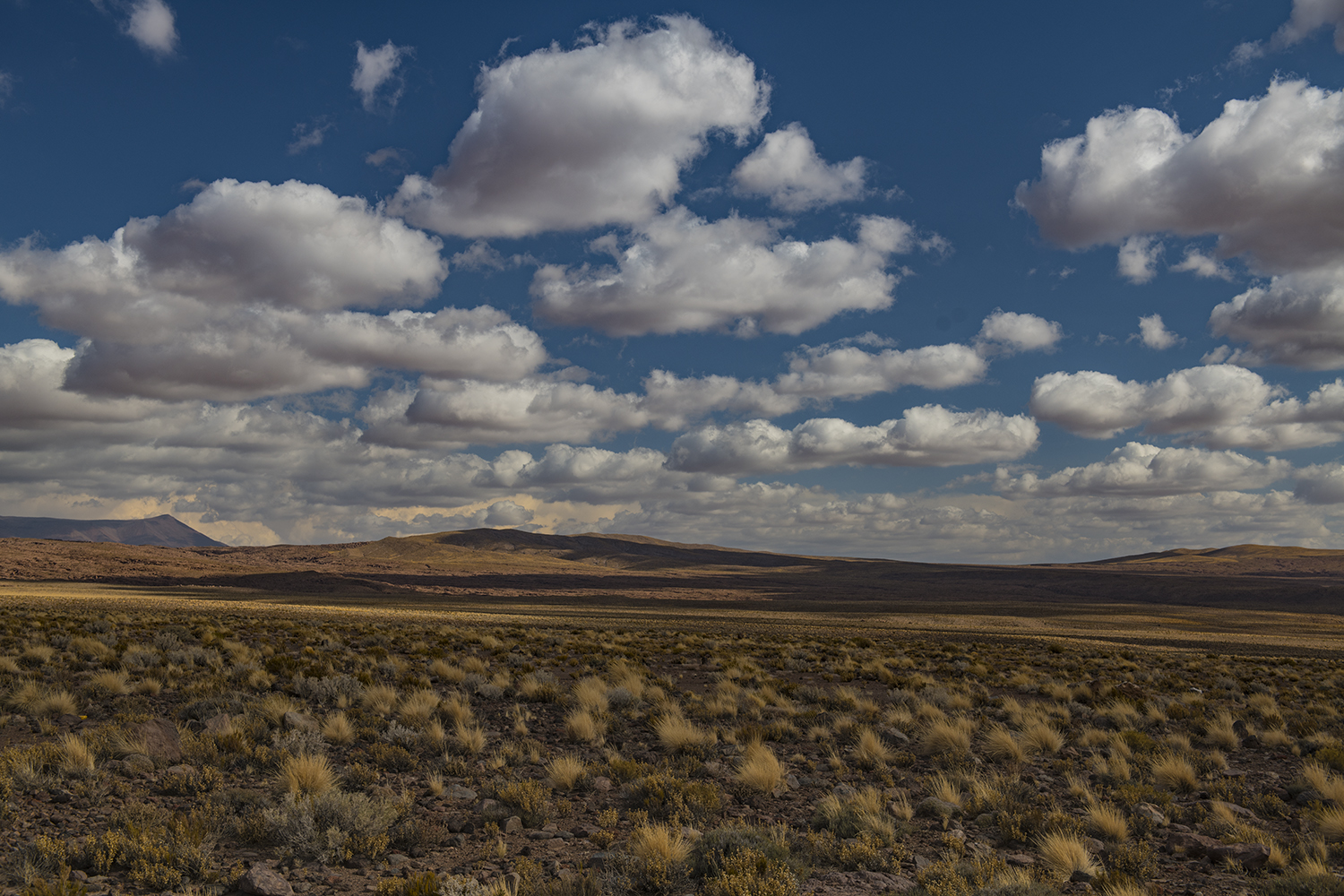 MWDSC_3605 2