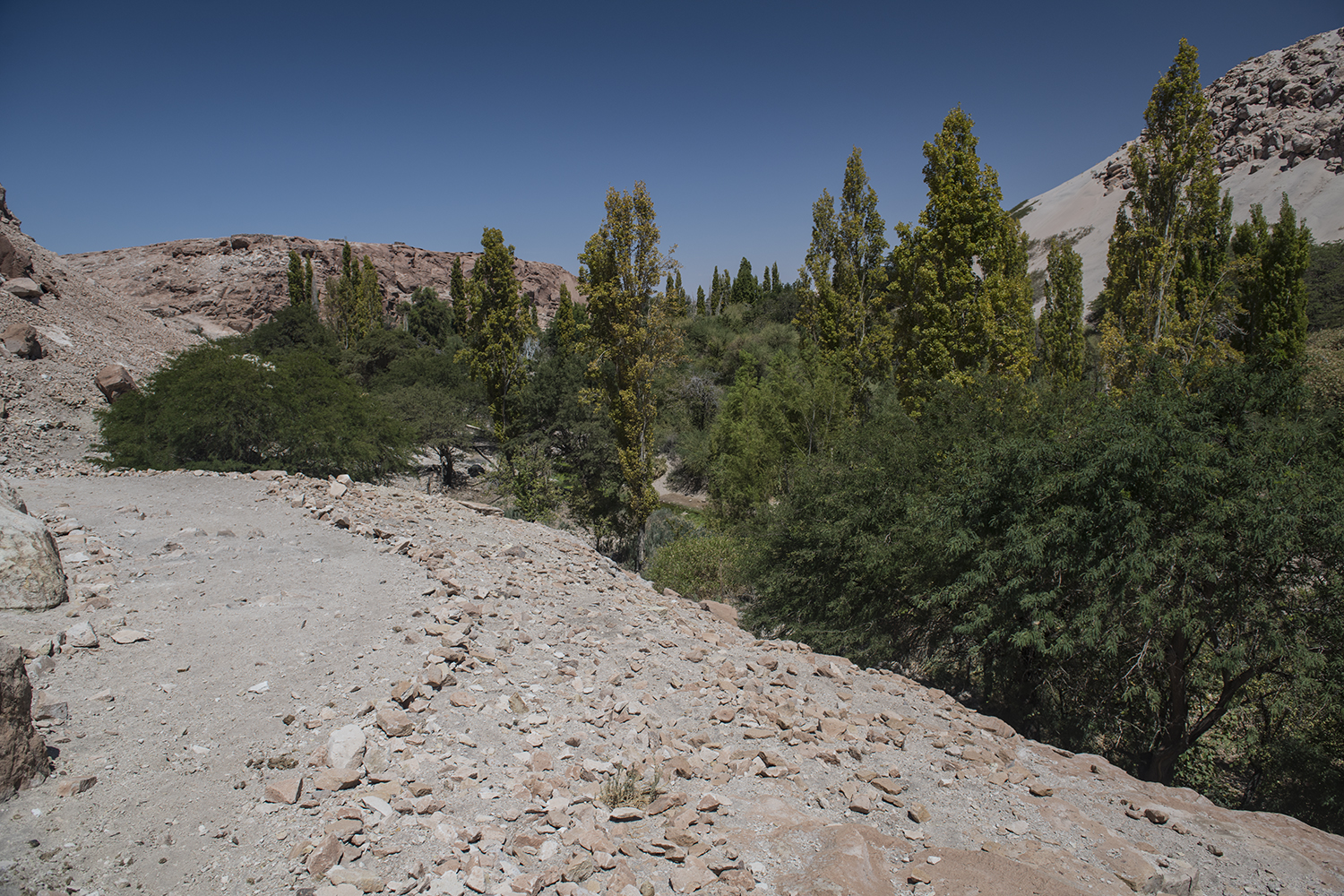 MWDSC_2538
