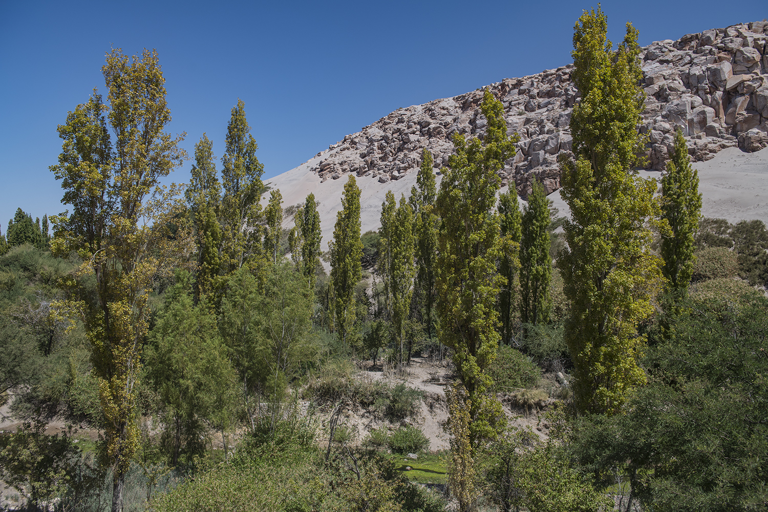 MWDSC_2542
