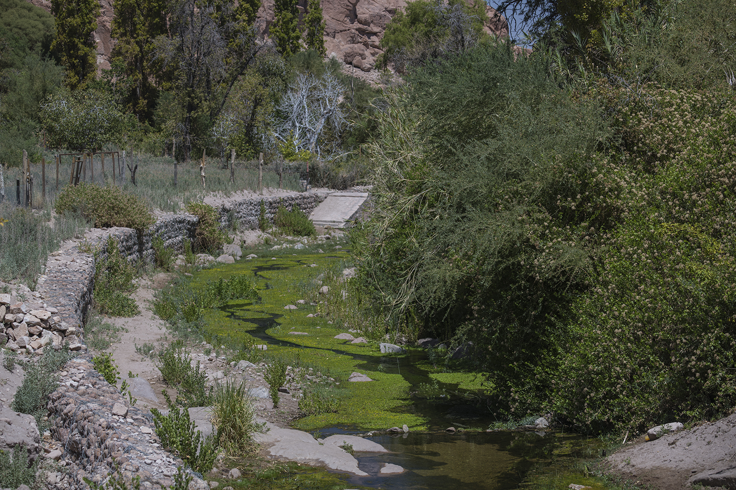 MWDSC_2556