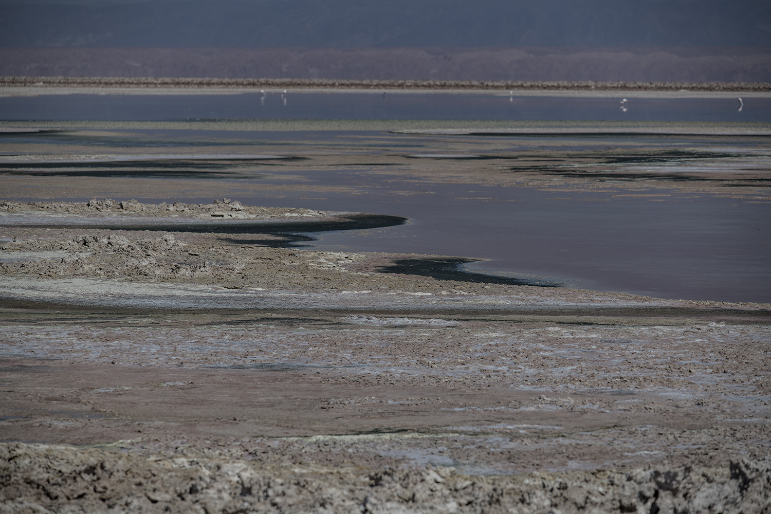 MWDSC_2494