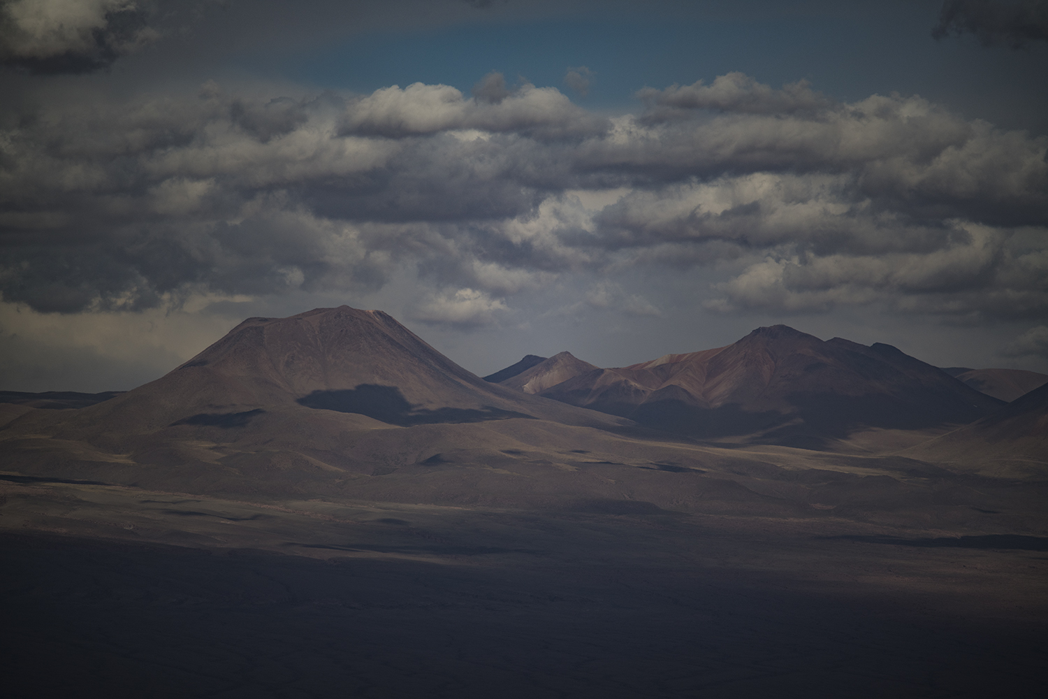 MWDSC_2637