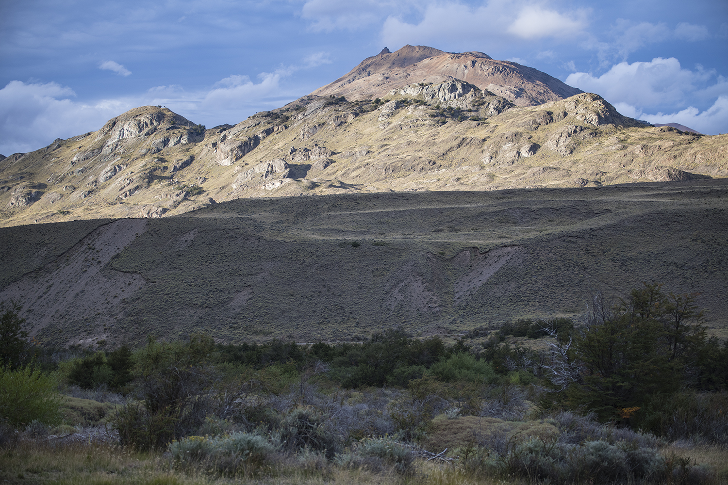 Alto Valle MWDSC_5880